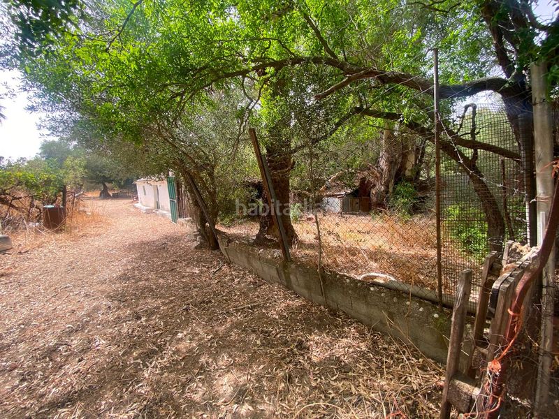 Foto 86056753-f77a-4923-a26f-fdd19dde5e94. Finca rústica a Alcalá de los Gazules