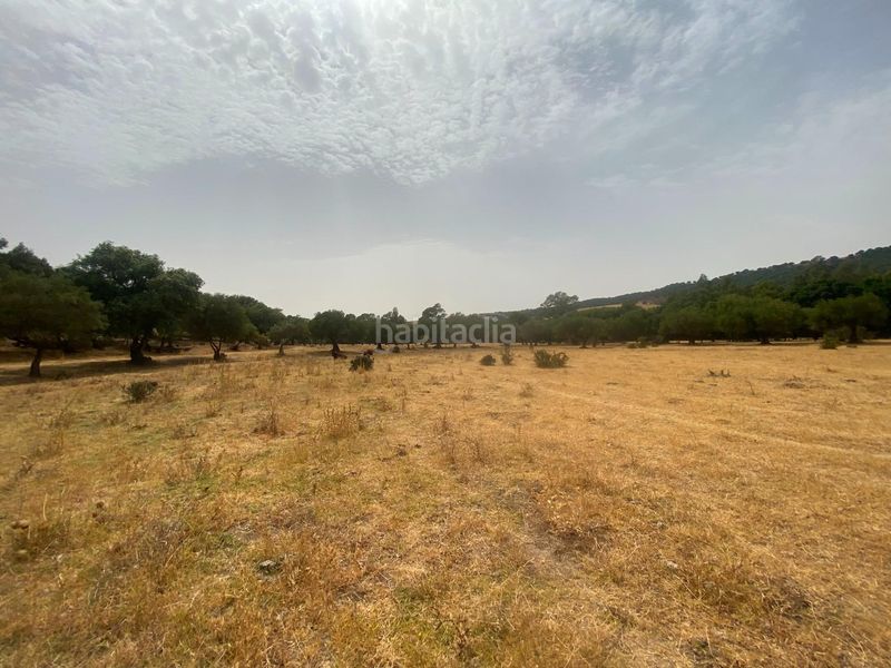 Foto 8d2d636d-6394-4d05-9895-29a8b34a04af. Finca rústica a Alcalá de los Gazules