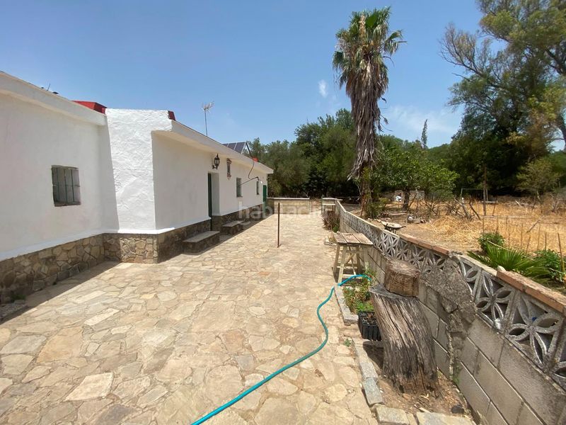 Foto 8d97e686-ea82-4ce0-83a2-a17710cbf369. Finca rústica a Alcalá de los Gazules