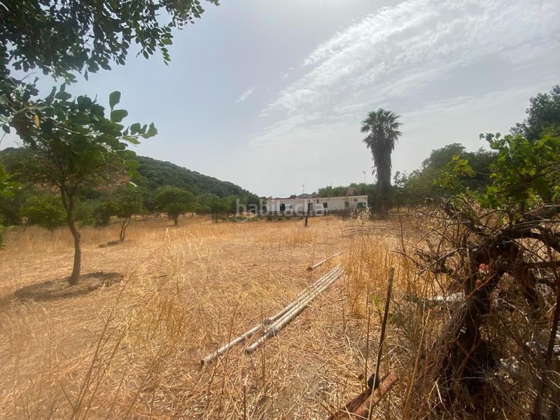 Foto 9c88b450-1a70-4d0c-8d91-e5a7a0e7e802. Finca rústica a Alcalá de los Gazules