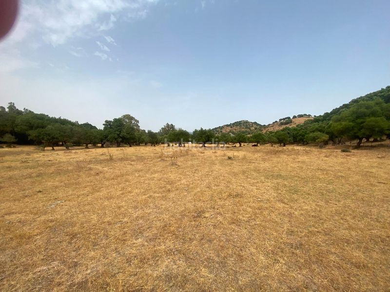 Foto 9f476a72-b5b1-409e-a0f1-97b3c793a649. Finca rústica a Alcalá de los Gazules