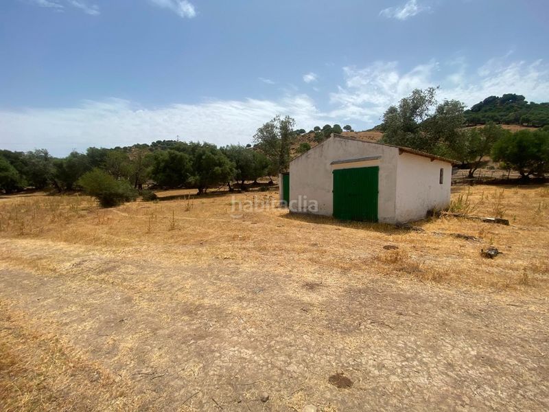 Foto a5f1c865-23d3-4d16-adf6-448b15d5223b. Finca rústica a Alcalá de los Gazules