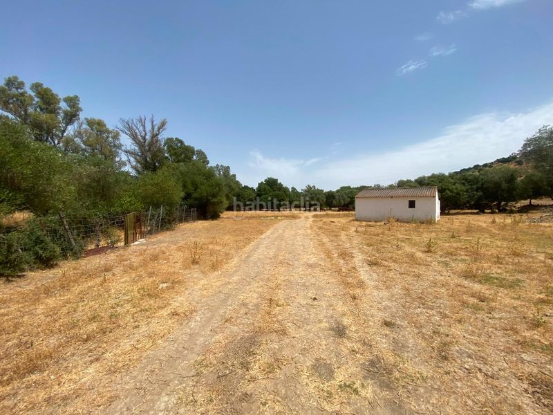 Foto b0c66477-1f1e-4657-ae84-0392b6482454. Finca rústica a Alcalá de los Gazules