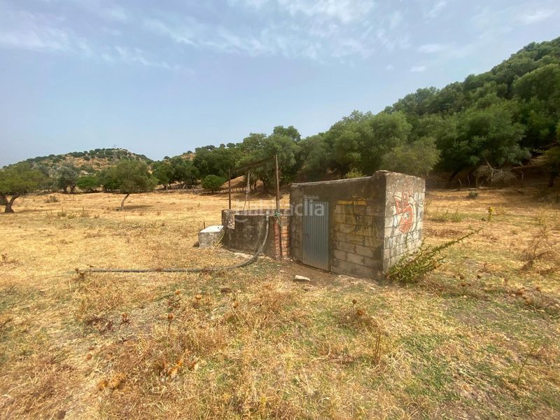 Foto b2eb8864-a236-4778-b9ce-4b8d1d20d28b. Finca rústica a Alcalá de los Gazules