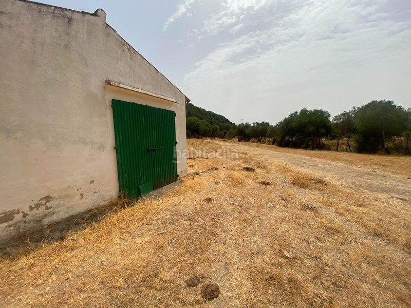 Foto e6be10aa-f711-419a-a6c4-2b00ab15c012. Finca rústica a Alcalá de los Gazules