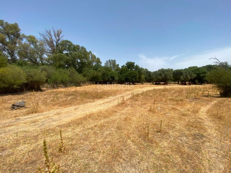 Foto fd29a7b1-4120-432f-875c-2b65f360d1ae. Finca rústica a Alcalá de los Gazules