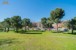 Pis  Avenida de españa. Piso en venta en avenida de españa