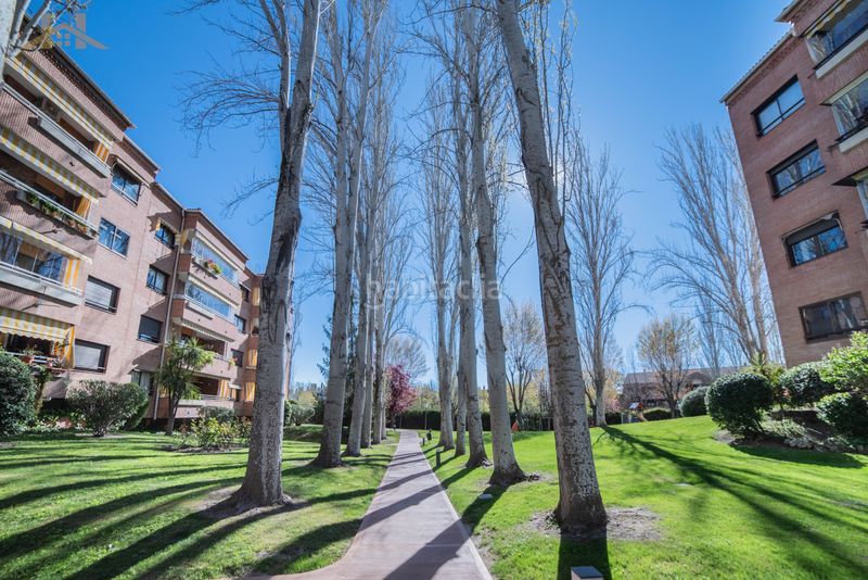 Foto 1e5dcef3-22aa-4b16-9bdf-6053a05695a2. Pis amb calefacció aparcament piscina a Prado de Somosaguas Pozuelo de Alarcón