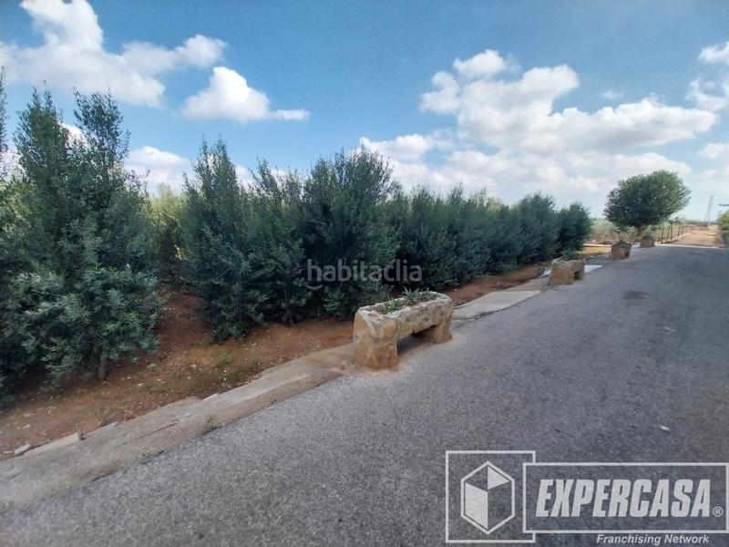 Foto 9bb1e045-50a9-471f-8df9-b0f8dba42d3b. Pis a Centro - Casco Antiguo Torrent