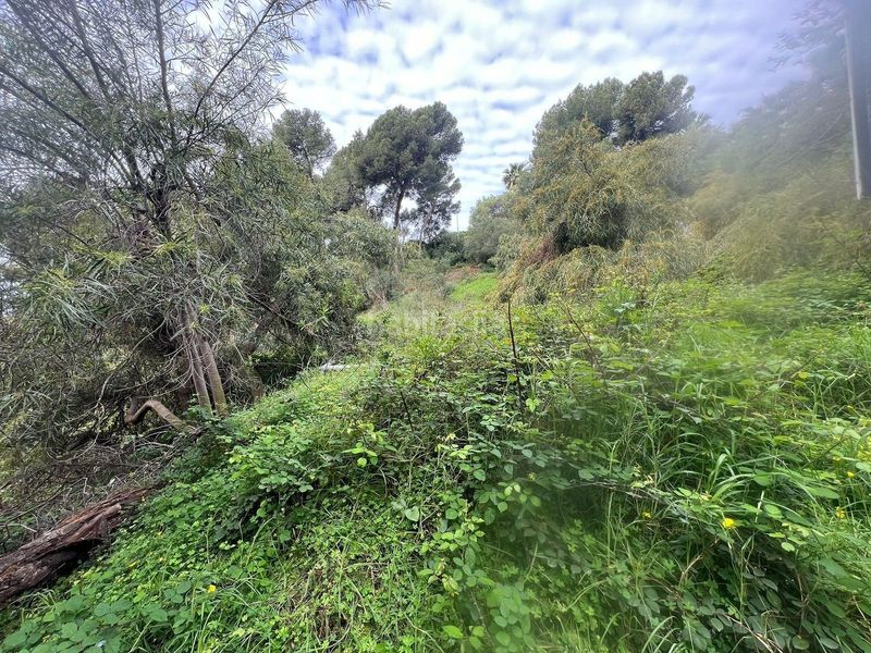 Foto ac4db197-6ef3-4c53-bb4c-354eb100a526. Terreny residencial a Huerta Belón - Calvario Marbella