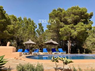 Chalet en Formentera. Finca en venta en es cap de barbaria, formentera  40.981m