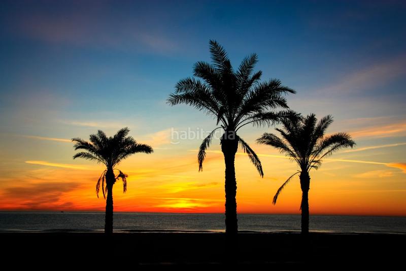 Foto 1017c5fc-f087-46f1-8d1c-56c39e555b55. Rent flat with parking pool in Playa de San Juan Alicante