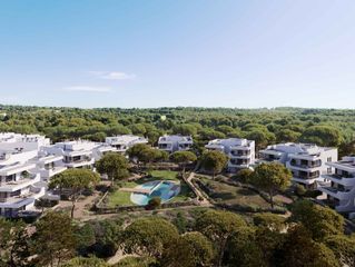Rez-de-chaussée  Avinguda del pla de maset