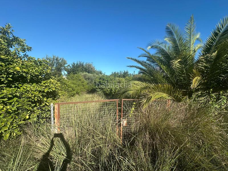 Foto 2446dab0-baef-4760-b903-a1559e0f7ef6. Wohngrundstück in Los Dolores Murcia