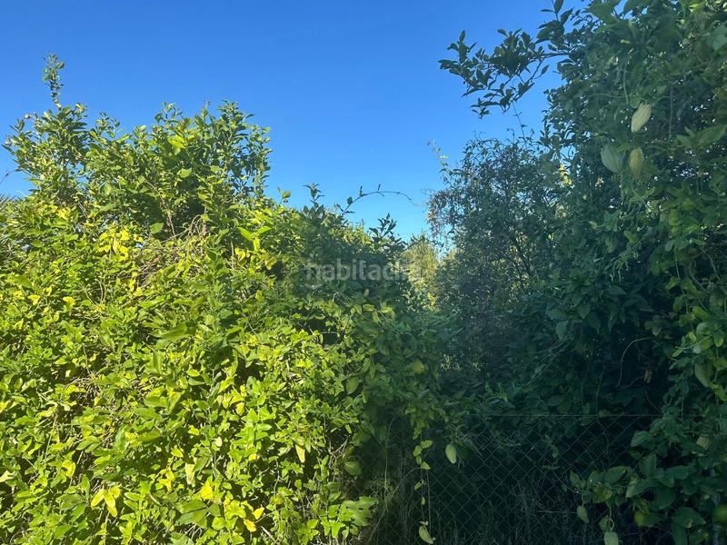 Foto 33693af9-de6a-4945-9714-79591e373a58. Wohngrundstück in Los Dolores Murcia