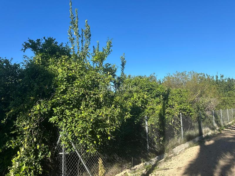 Foto b2893467-0dd2-40ed-98c1-c22b6381c98d. Wohngrundstück in Los Dolores Murcia