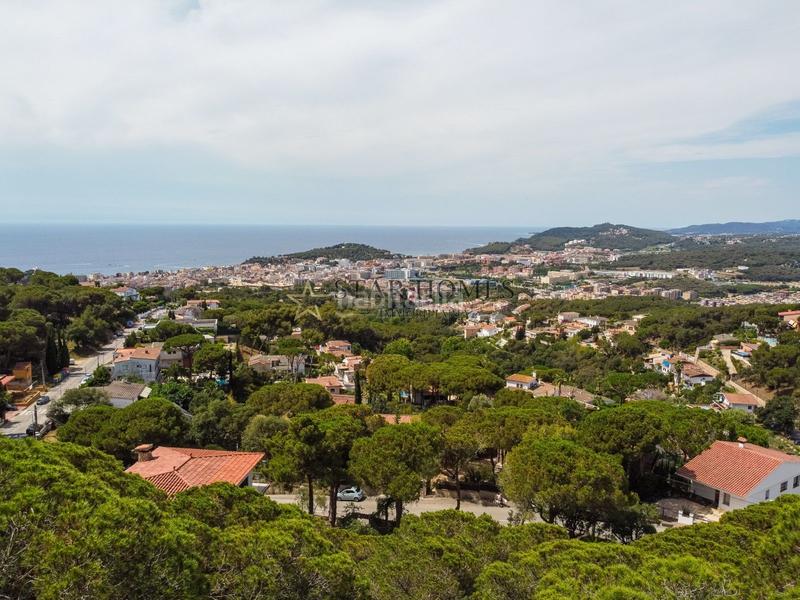 Foto 605e205f-c9a4-4f59-89be-30f3619147f6. Terreno residenziale in Roca Grossa Lloret de Mar