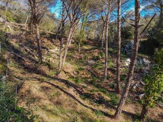 Terreny residencial a Dosrius Poble. Parcela de terreno en dosrius