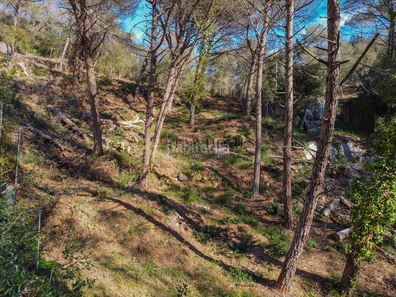 Foto e1cc8141-4703-430c-ac4e-bdba6588cba6. Terreno residenziale in Dosrius poble Dosrius