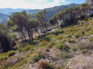 Terreny residencial a Dosrius Poble. Parcela de terreno en dosrius