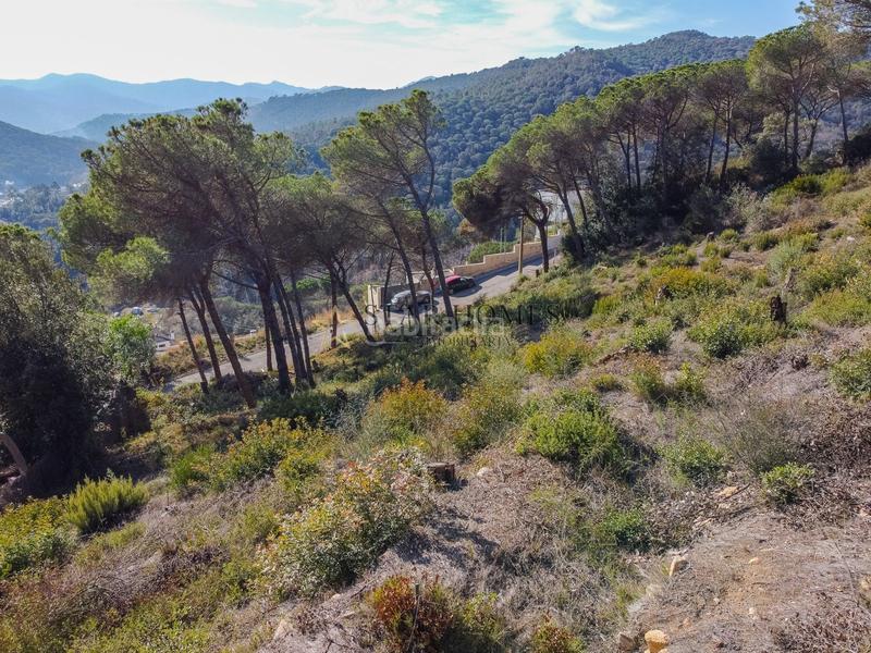 Foto 0a4c3199-56be-42a8-9caf-3b11c6a757d1. Terreny residencial a Dosrius poble Dosrius