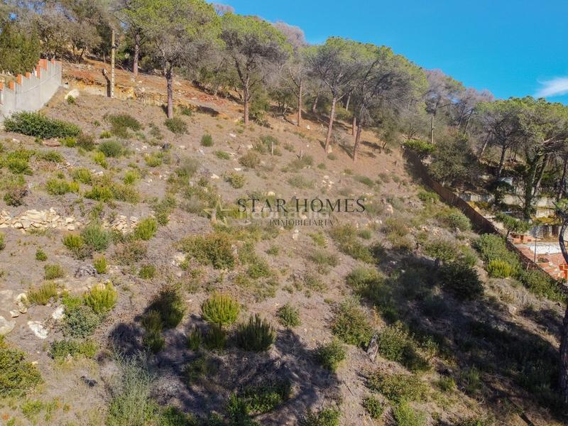 Foto 209924a1-d4ed-4e42-8ccc-004b652487b6. Terreny residencial a Dosrius poble Dosrius