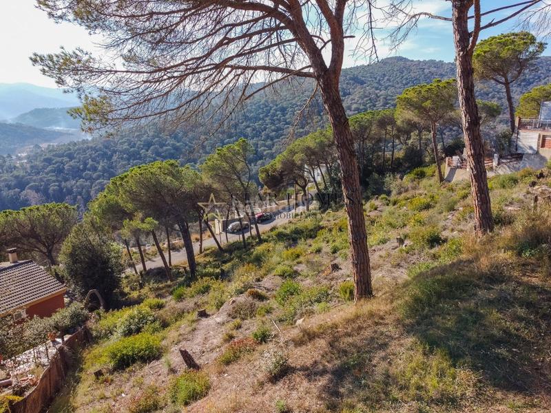 Foto 352ffbba-c922-4680-9605-919ebd1fc84c. Terreny residencial a Dosrius poble Dosrius