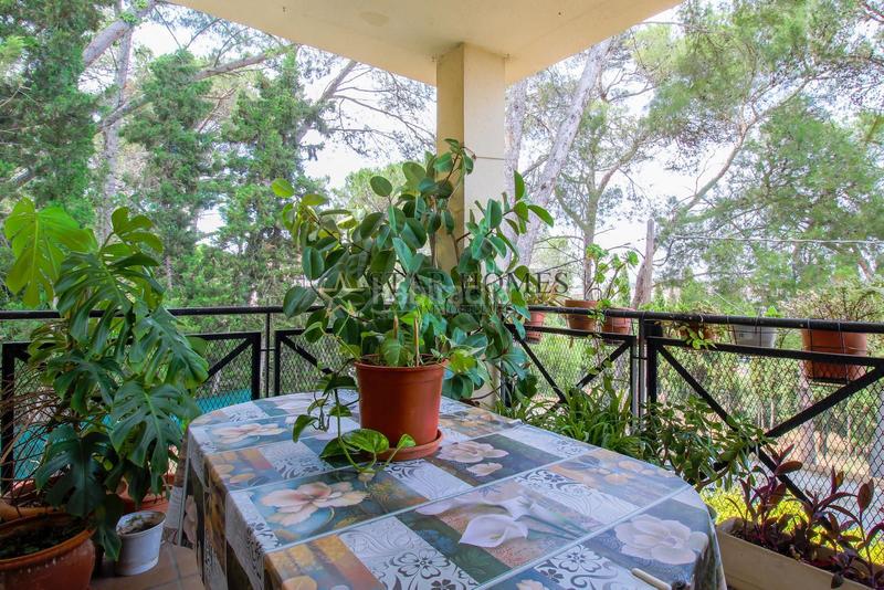 Foto 4ad47398-f016-492b-8e2b-557193cc92da. Casa chalet esquinero en montornés del vallés en Montornès del Vallès