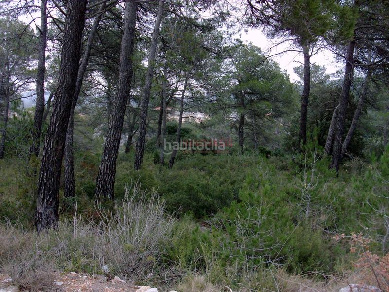 Foto 9208c8c8-6f0f-47ff-84be-2ad4633199b5. Terreno residencial terreno en Querol