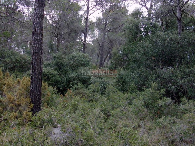 Foto f9bcd4f4-1226-43fd-8f59-c222ed7da859. Terreno residencial terreno en Querol