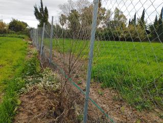 Finca rústica a N/a. Parcela en coria del rio