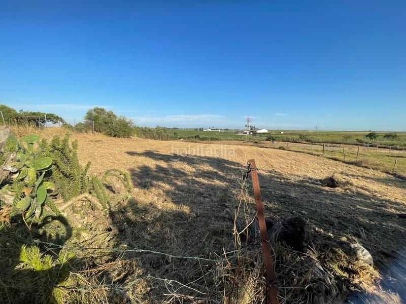 Foto 11a49243-2a8f-430b-aa5c-d6a5a5e305d4. Finca rústica en a8050 20 parcela junto arayanes en Puebla del Río (La)