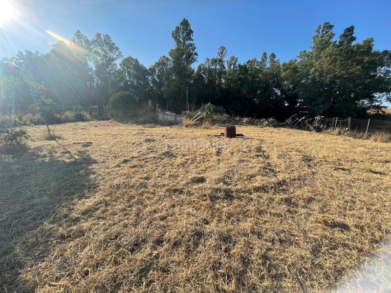 Foto 216e4823-0fd5-43fa-9c4d-c293304758ff. Finca rústica en a8050 20 parcela junto arayanes en Puebla del Río (La)