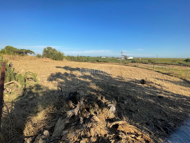 Foto b6fd90f0-ec3d-4656-9c5b-91a4cc432fcc. Finca rústica en a8050 20 parcela junto arayanes en Puebla del Río (La)