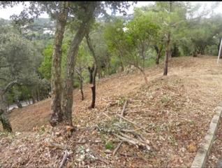 Terreny residencial  Carrer alzina. Terreno en venta