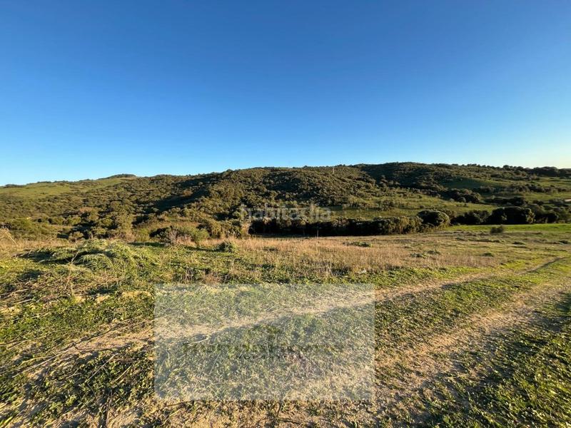 Foto 1a707898-6e4a-47bf-a7fd-a657e4a7b79a. Casa finca rústica de 6,9 hectáreas en Gaucín