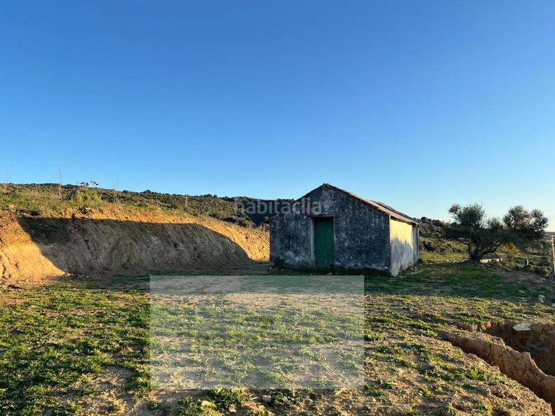 Foto 62739993-3065-48f4-8b08-479d285999b6. Casa finca rústica de 6,9 hectáreas en Gaucín