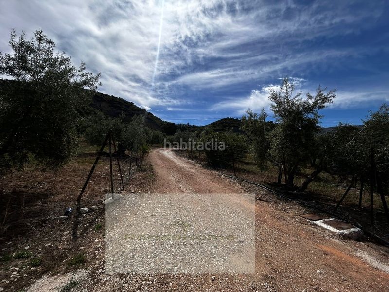 Foto c96a5429-acf8-4164-9c68-b88d13d2a175. Masia amb aparcament piscina a Partidas Sur Ronda