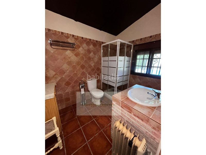 Foto de33903d-6476-48ee-bd51-442e232a1c5c. Masia amb aparcament piscina a Partidas Sur Ronda