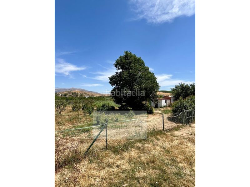Foto 46f93097-6c38-45b7-ab1f-7833d2863c57. Masia amb aparcament piscina a Álora