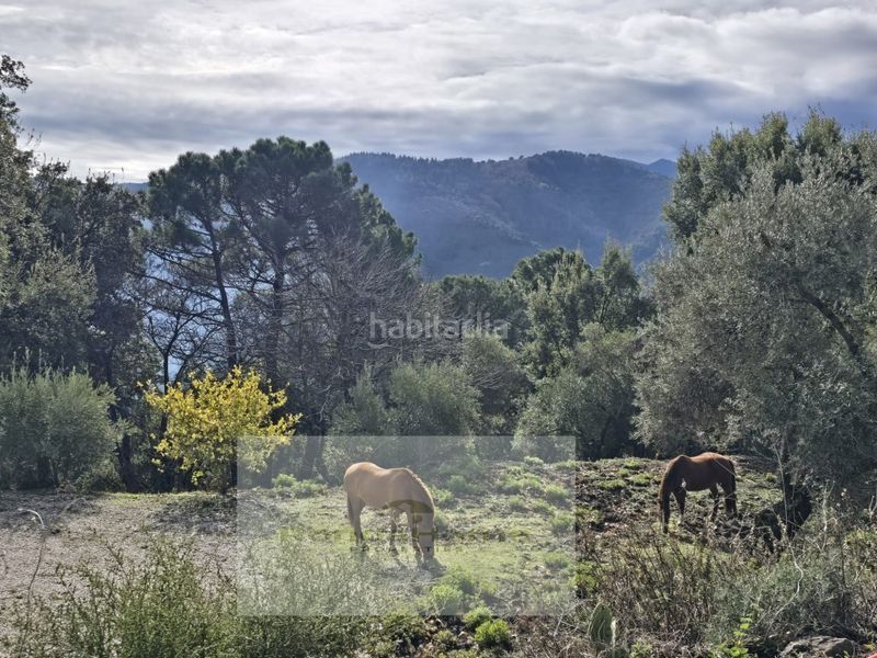 Foto ada00534-0f5d-41f0-b687-80b3eccc49ff. Masia amb aparcament a Jubrique