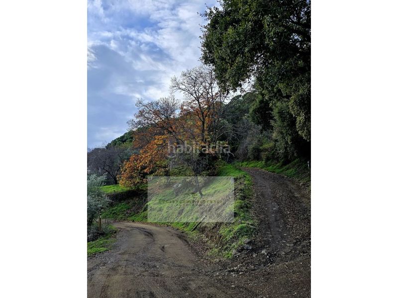 Foto f751274c-bab4-481d-acd3-4969da5b4c3d. Masia amb aparcament a Jubrique