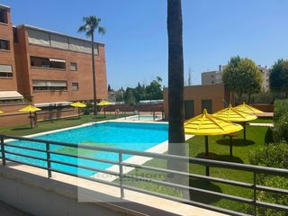Location Appartement  Camino del pinillo. Amplio piso de 3 dormitorios con vistas al mar, piscina y terraz