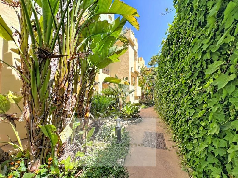 Foto 46778155-6017-47c9-97cc-698a083b4a8c. Rent flat with parking in La Duquesa Manilva