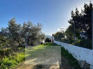 Maison à Partidas Norte. Finca rústica en venta con olivar y vistas panorámicas cerca de