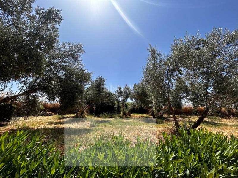 Foto 4dae4546-c0d5-45fb-8cb5-5a3b7890e3e5. Casa a Arriate