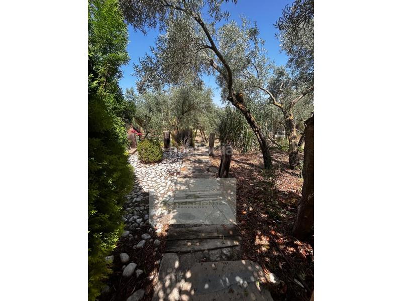 Foto a20de64c-a758-4363-84c5-d2f74d705912. Casa a Arriate