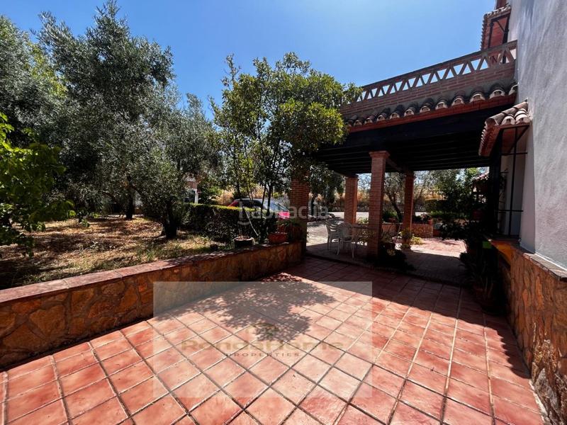 Foto c486f28f-b8be-45d0-acff-cd8af39902fc. Casa a Arriate