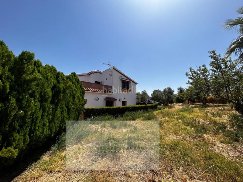 Foto e498f335-470d-4182-af0b-3a9cf0097e52. Casa a Arriate