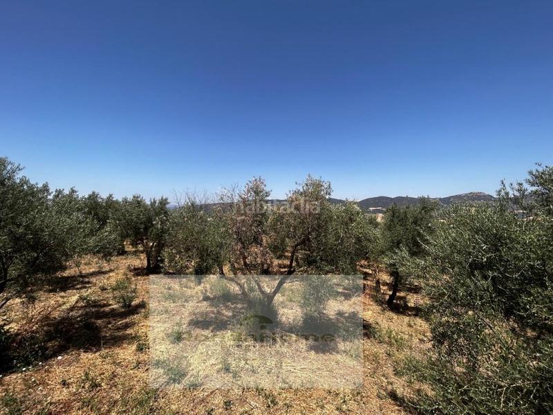 Foto fb7ea593-ccd2-4e88-9edd-ec0cde9579fb. Casa a Arriate